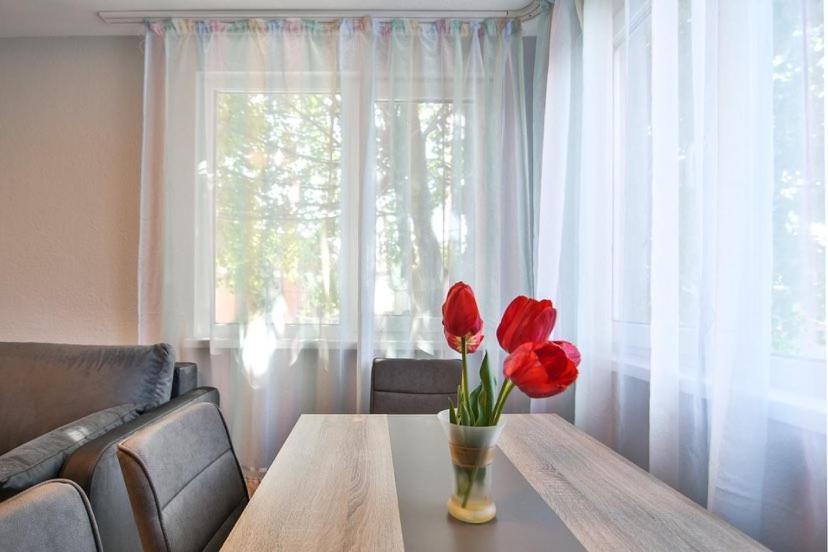 House Stavrevi Villa Várna Kültér fotó